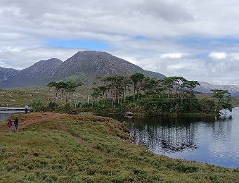 Jour 08 - Connemara - Sky Road